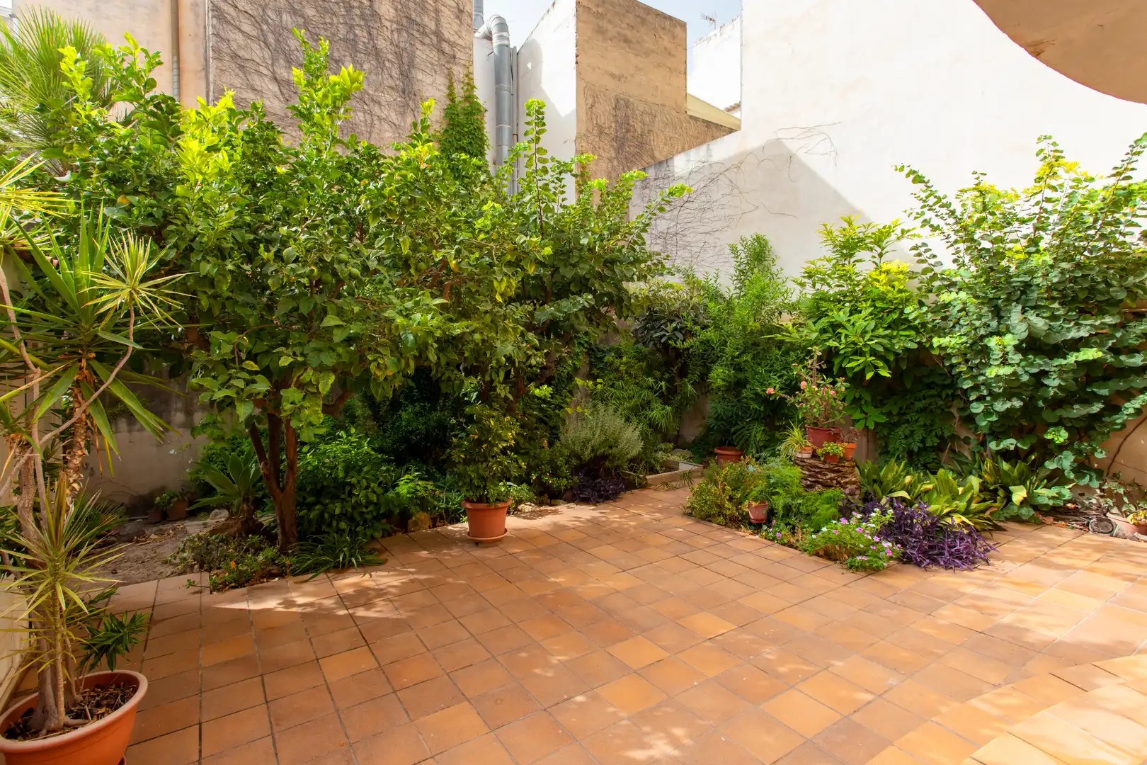 Maison mitoyenne avec jardin à vendre à Carrer de la Victoria 56, imagen 29