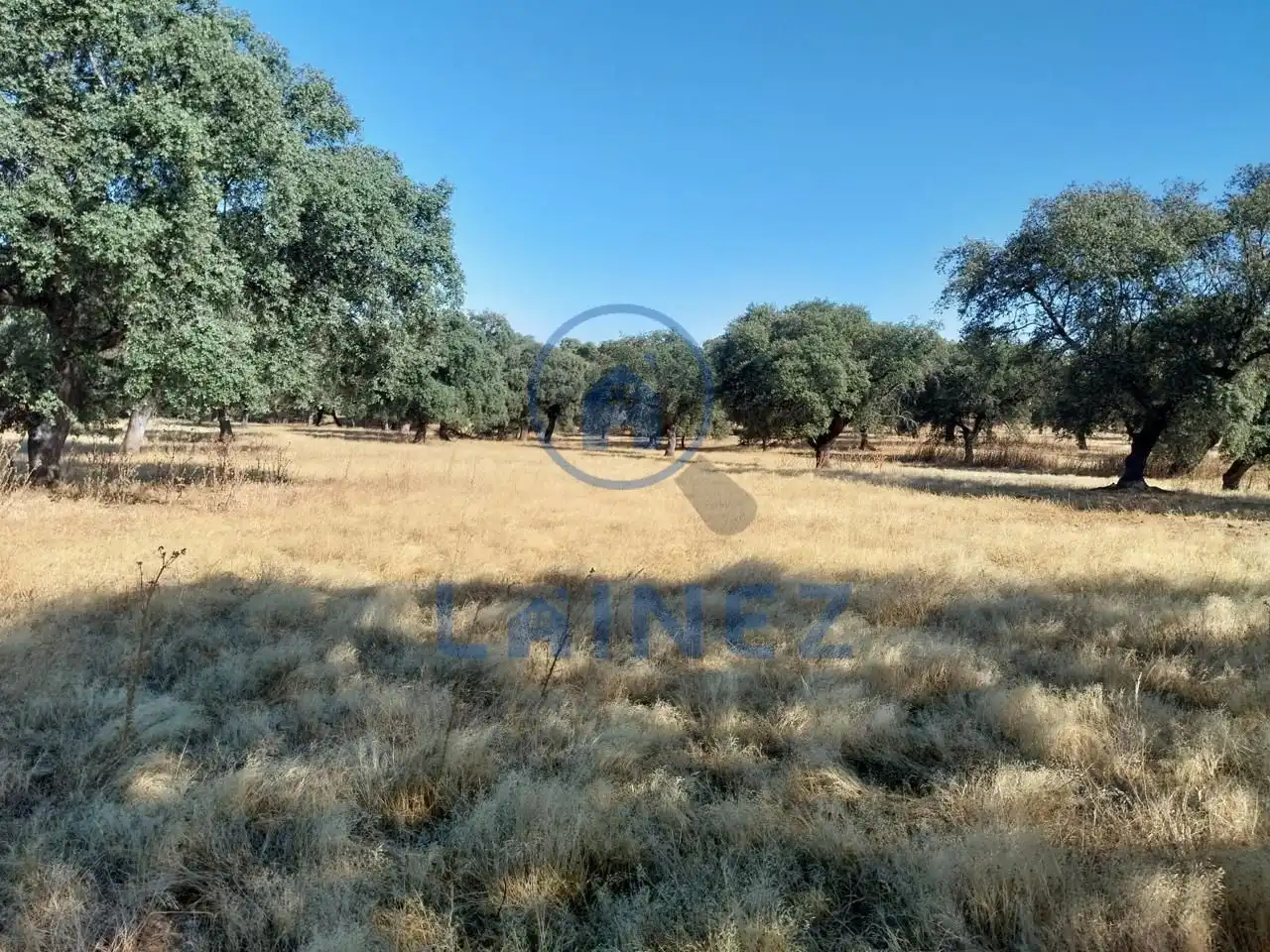 Lands and plots for sale in Fuente Obejuna, imagen 22