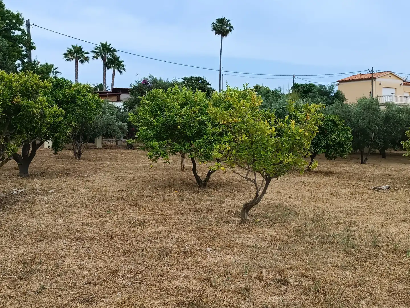 Terreno residencial en venta en Carrer Reus, imagen 2