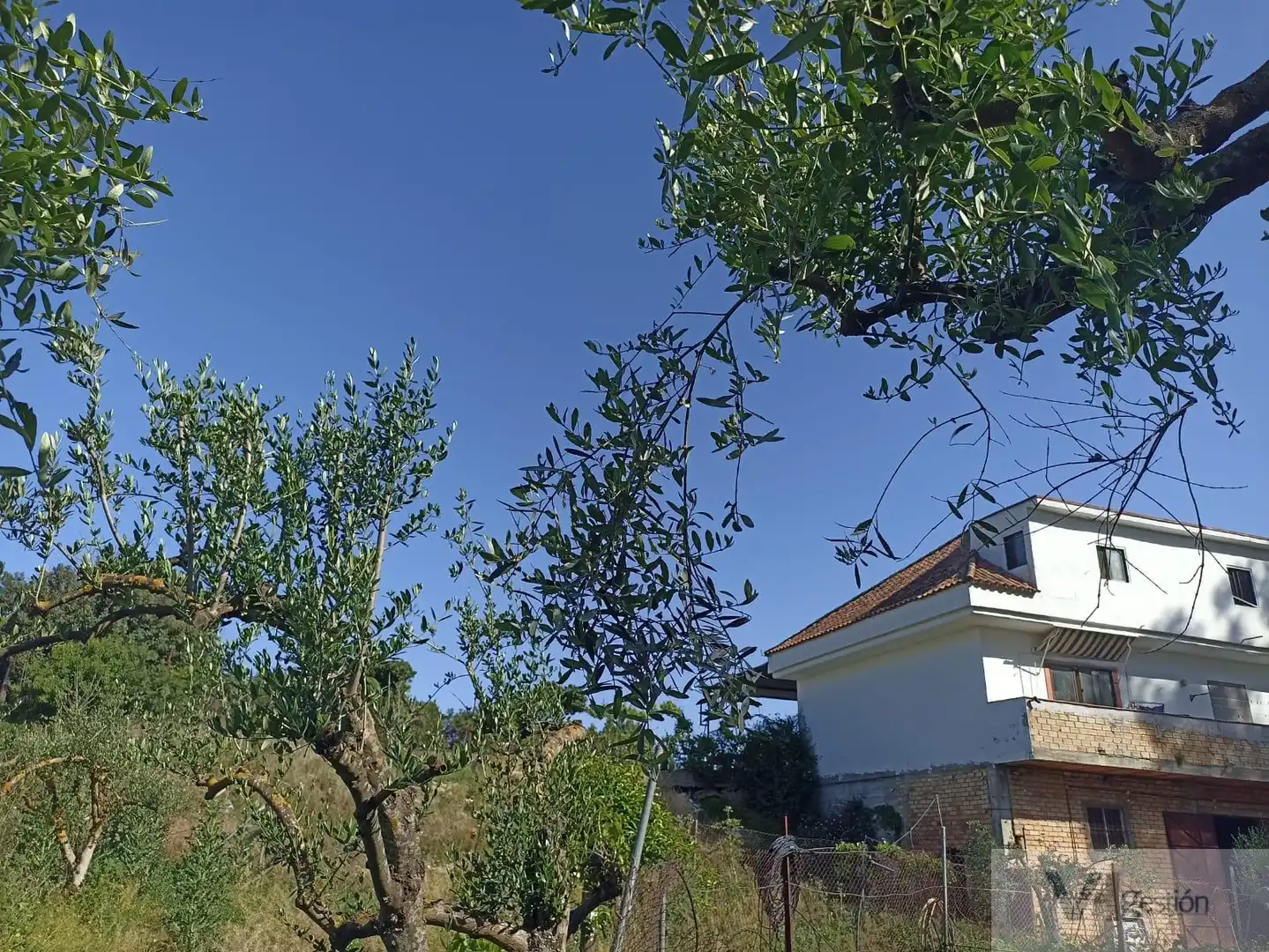 Casa rústica en venda a Bornos, imagen 9