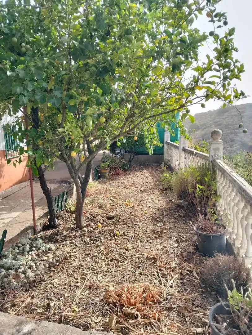 Casa adosada en venda en Vega de San Mateo amb Jardí privat, Piscina i Microones