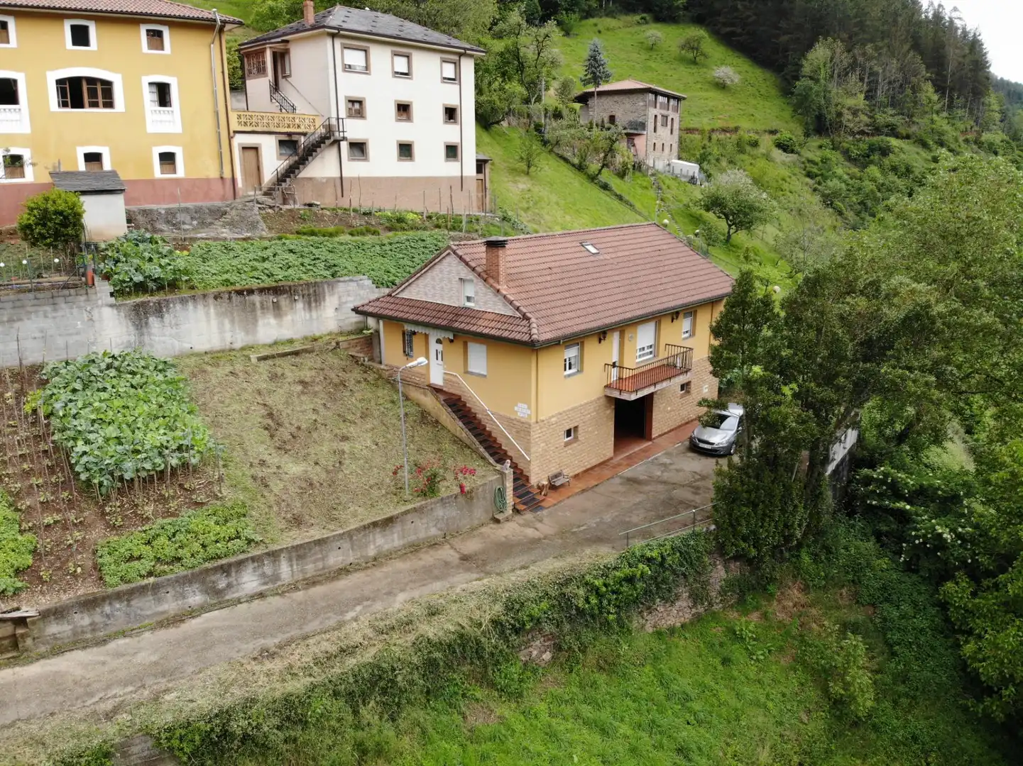 Vista exterior de Casa o xalet en venda en Tineo amb Calefacció, Jardí privat i Terrassa