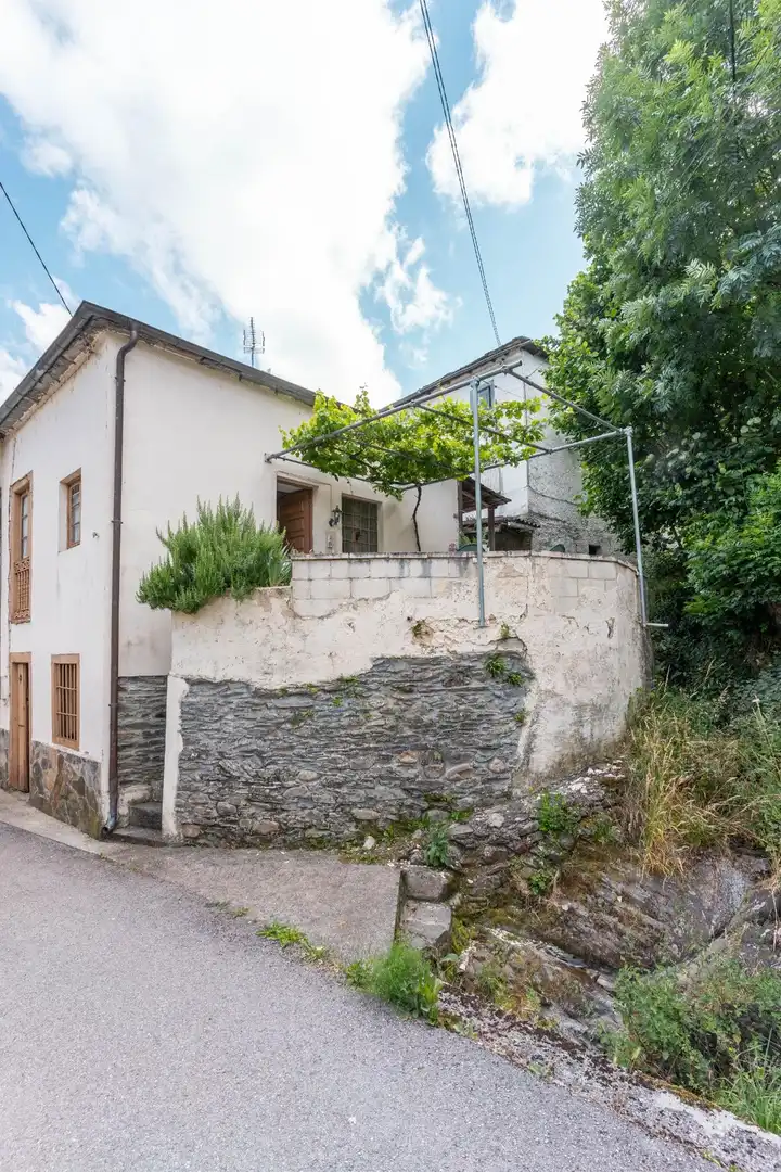 Vista exterior de Casa o chalet en venta en Cangas del Narcea con Jardín privado, Amueblado y Balcón