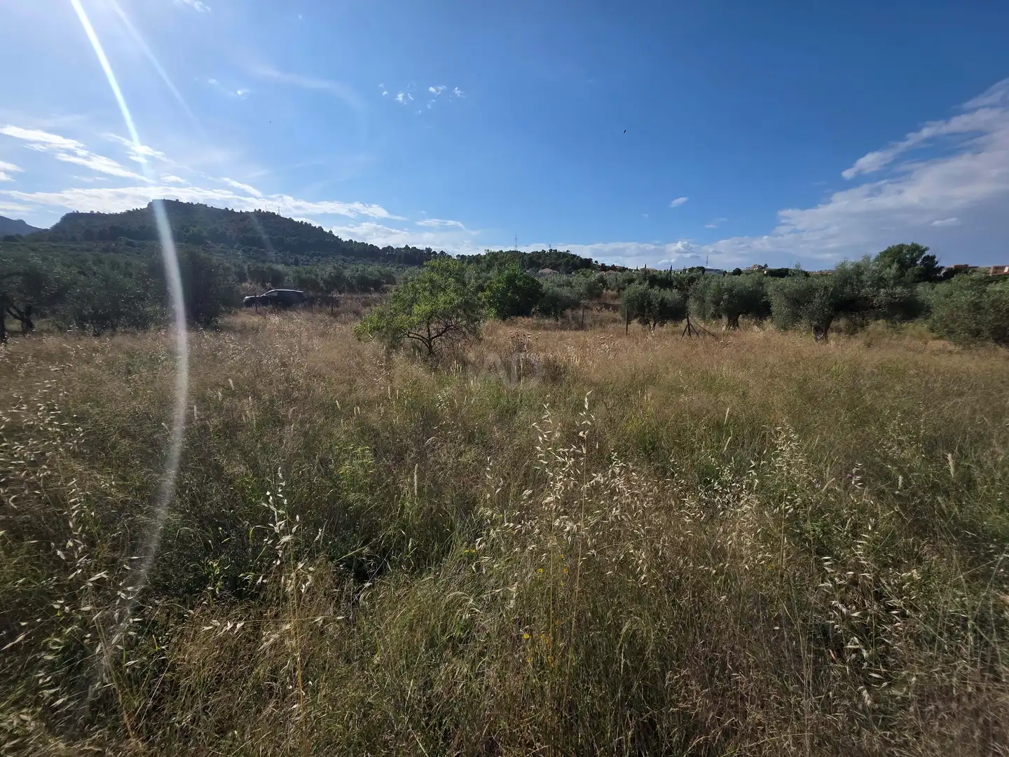 Terreno en venta en Socovos