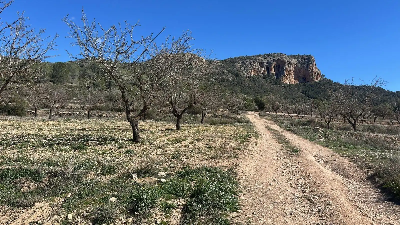 Terreno rustico in vendita a Las Trescientas - San Francisco - Ciudad Vergel, imagen 3