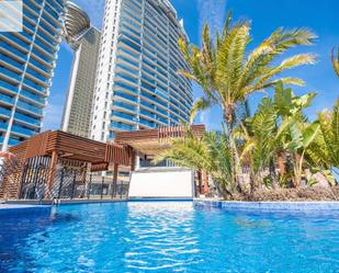 Swimming pool of Flat to rent in Benidorm  with Air Conditioner, Private garden and Terrace