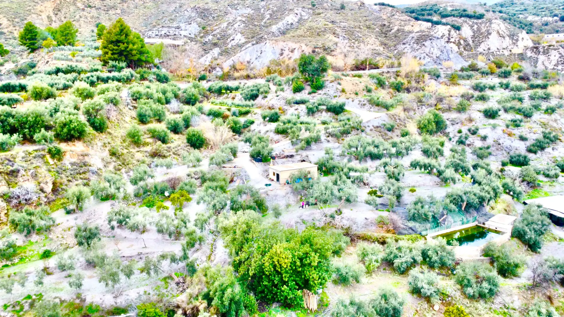 Terreni e lotti in vendita a Lugar Cortijo El Peñon, imagen 35