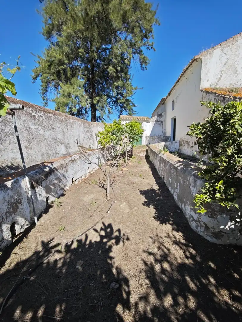 Jardí de Finca rústica en venda en Cártama