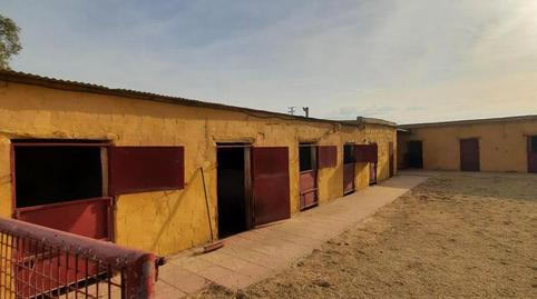 Foto 3 de Finca rústica de alquiler en Huércal-Overa, Almería