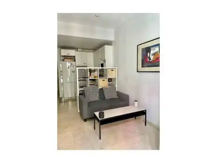 Sala d'estar de Estudi de lloguer en Madrid amb Aire condicionat, Parquet i Moblat