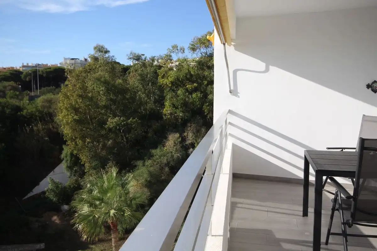 Terraza de Estudio en venta en Alcantarilla