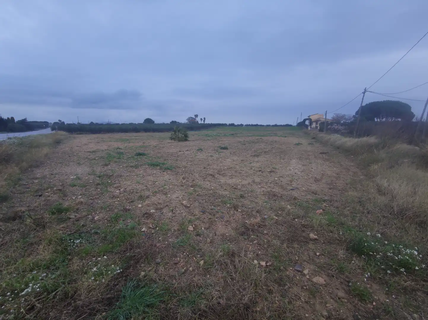 Rural land for sale in Partida els Camps, imagen 4
