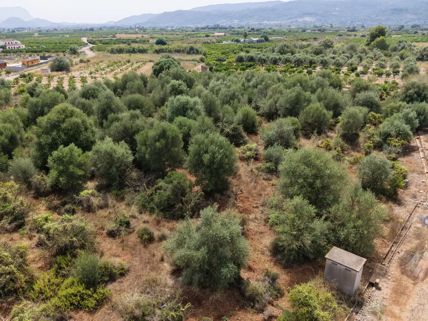 Rural land for sale in Carrer Castell 29, imagen 3