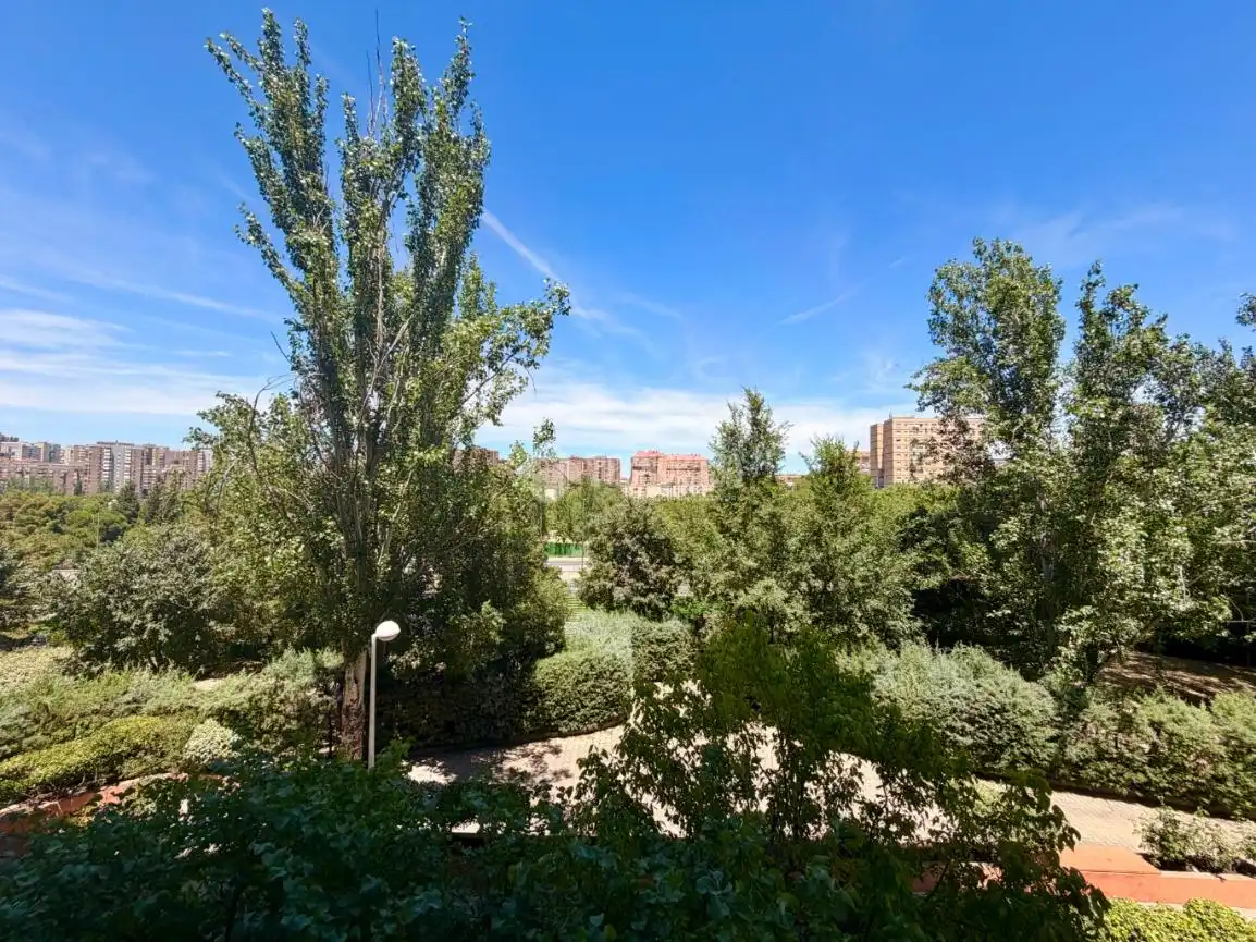 Garten von Wohnung zum Verkauf in Madrid mit Klimaanlage, Heizung und Terrasse