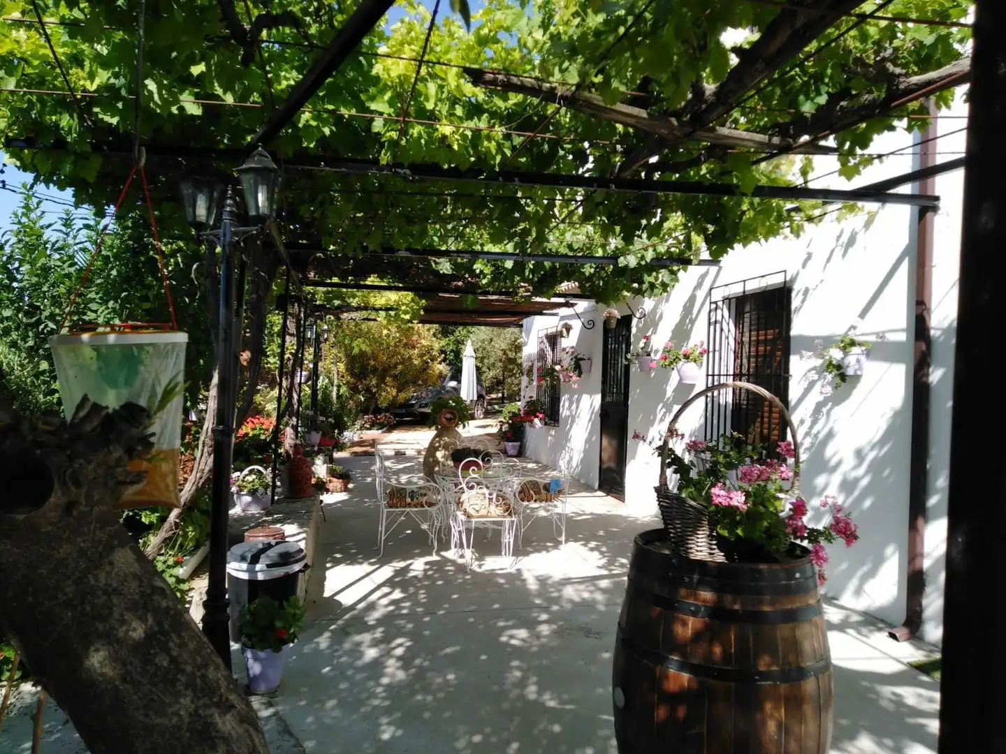 Garden of Houses for sale in Jaén  with Air Conditioner and Furnished