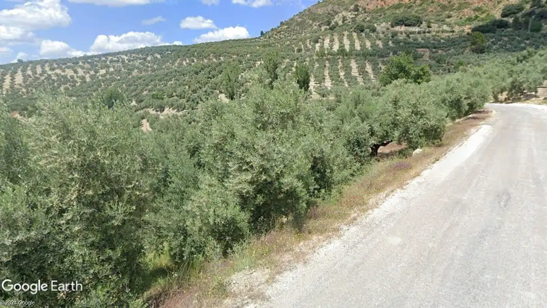 Terreni e lotti in vendita a Quesada, imagen 4
