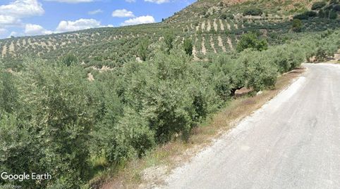 EXTENSA FINCA DE OLIVAR TRADICIONAL DE REGADÍO., image 4