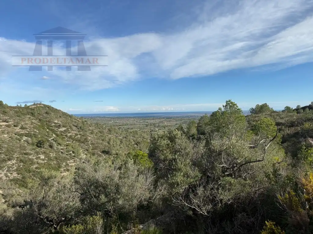 Country house for sale in Poligono 82 Paraje 6 Camp-Redo, imagen 45