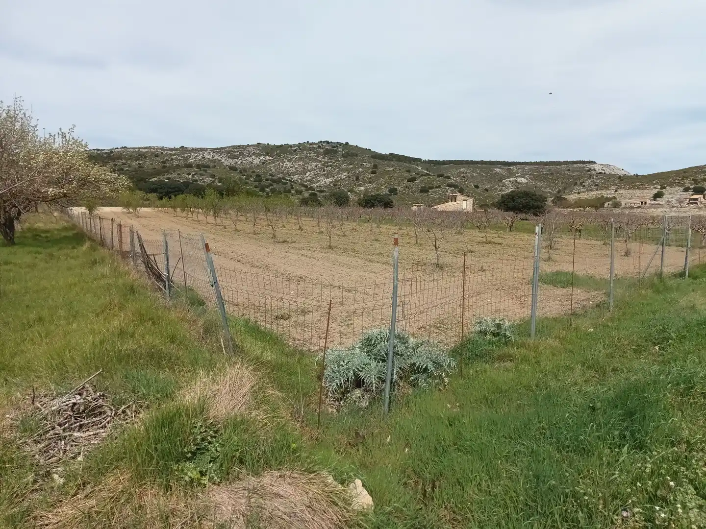 Terreno rústico en venta en Castell de Castells, imagen 7