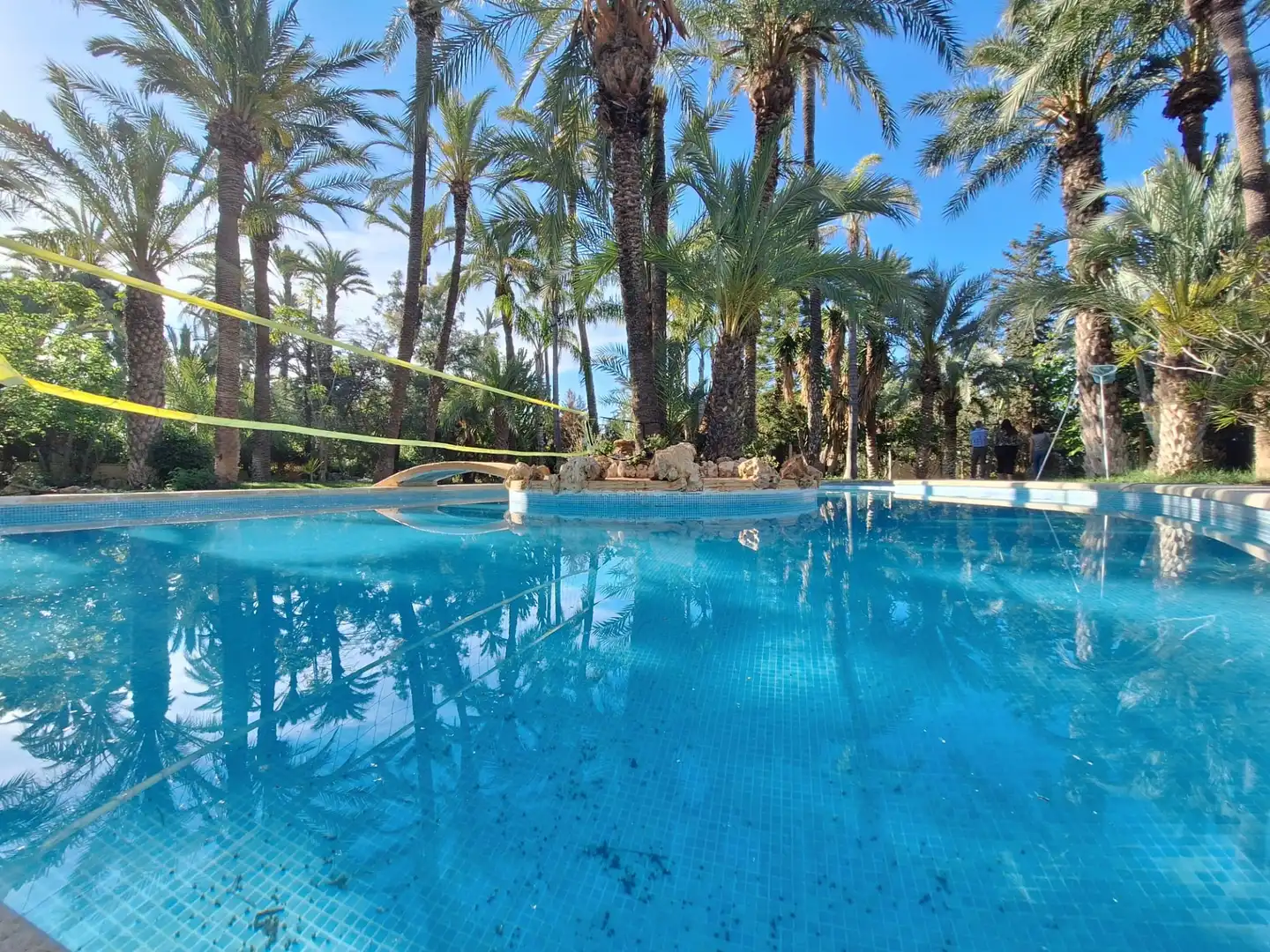 Piscina de Casa o chalet en venta en Elche / Elx