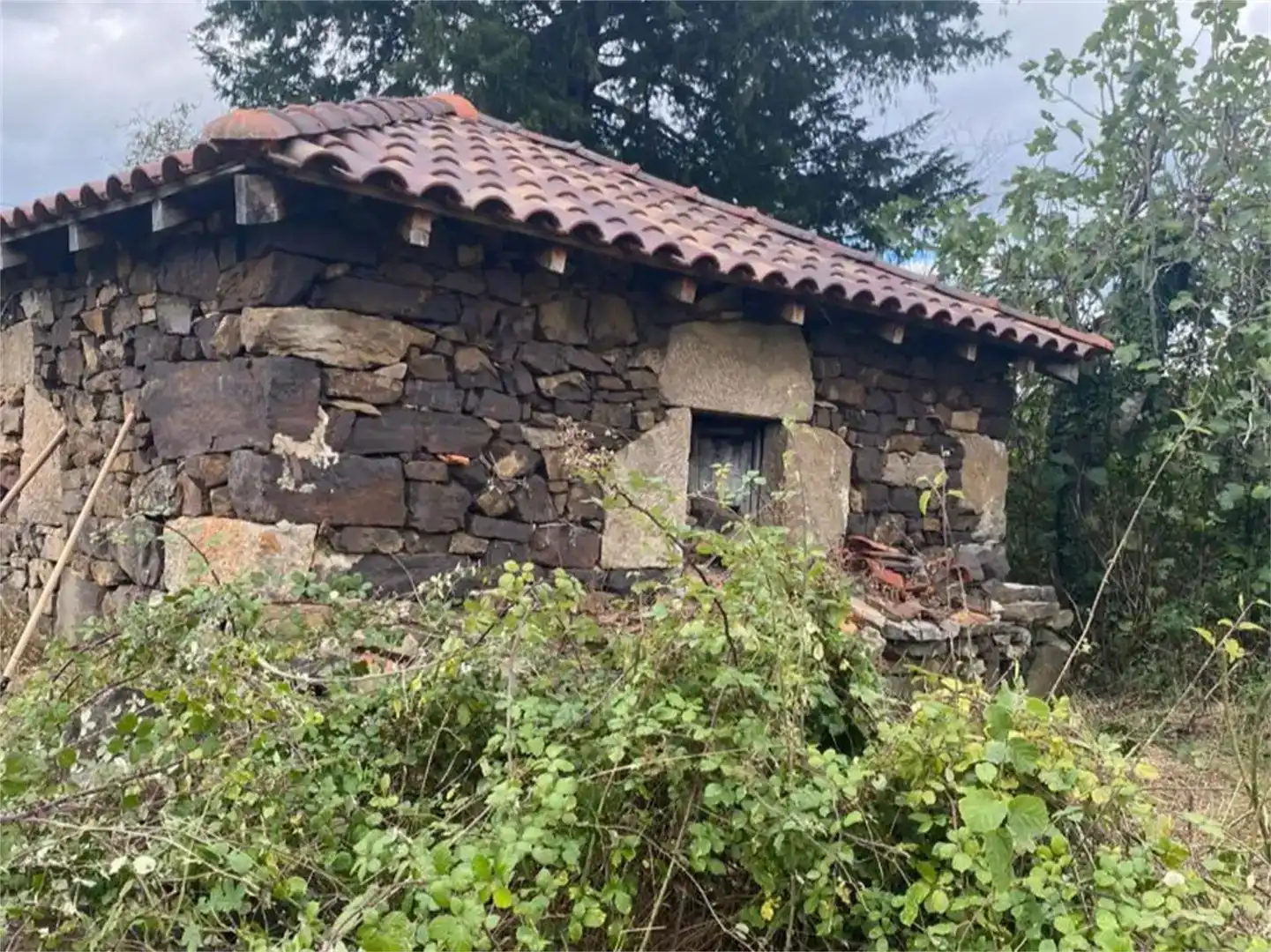 Vista exterior de Finca rústica en venta en Belmonte de Miranda, Asturias