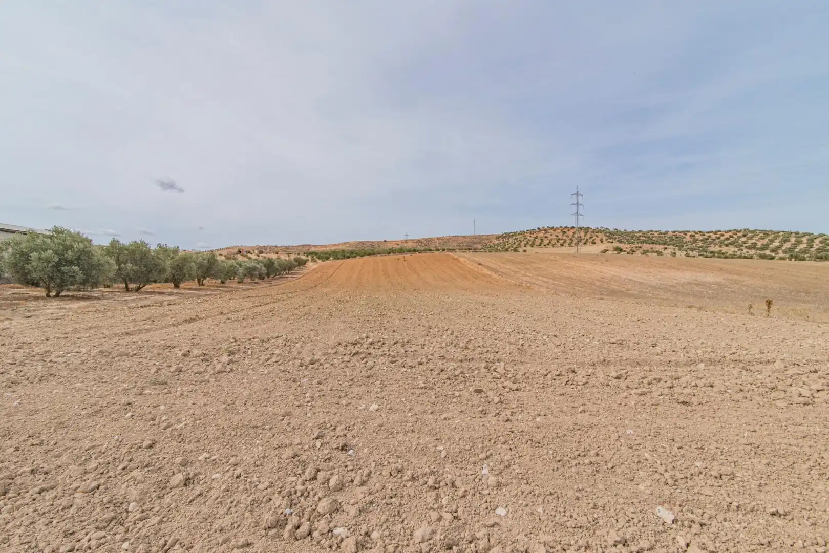 Finca rústica en venta en La Malahá