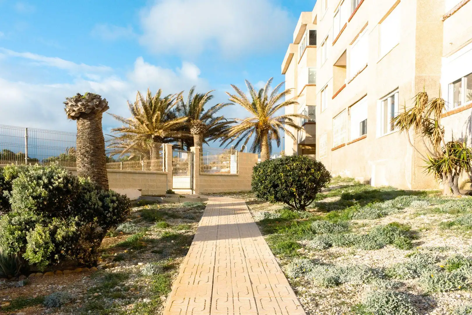 Vista exterior de Estudio en venta en El Ejido con Piscina comunitaria