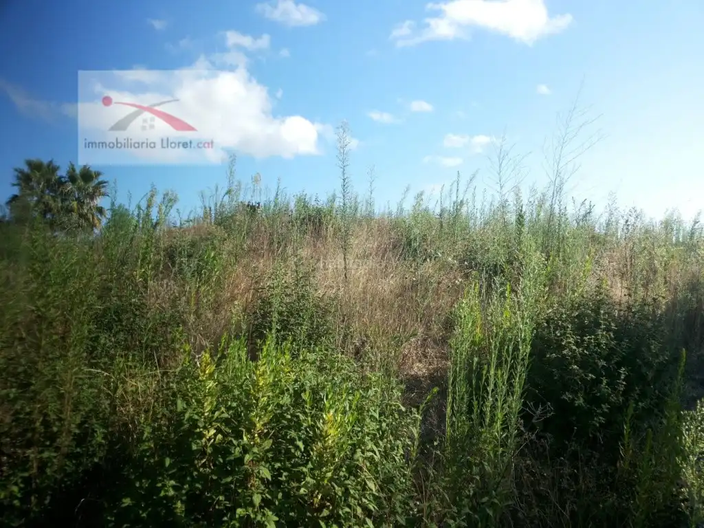 Terreno residencial en venta en Aiguaviva Parc, imagen 4