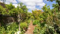 Jardí de Casa o xalet en venda en Tacoronte amb Terrassa i Balcó