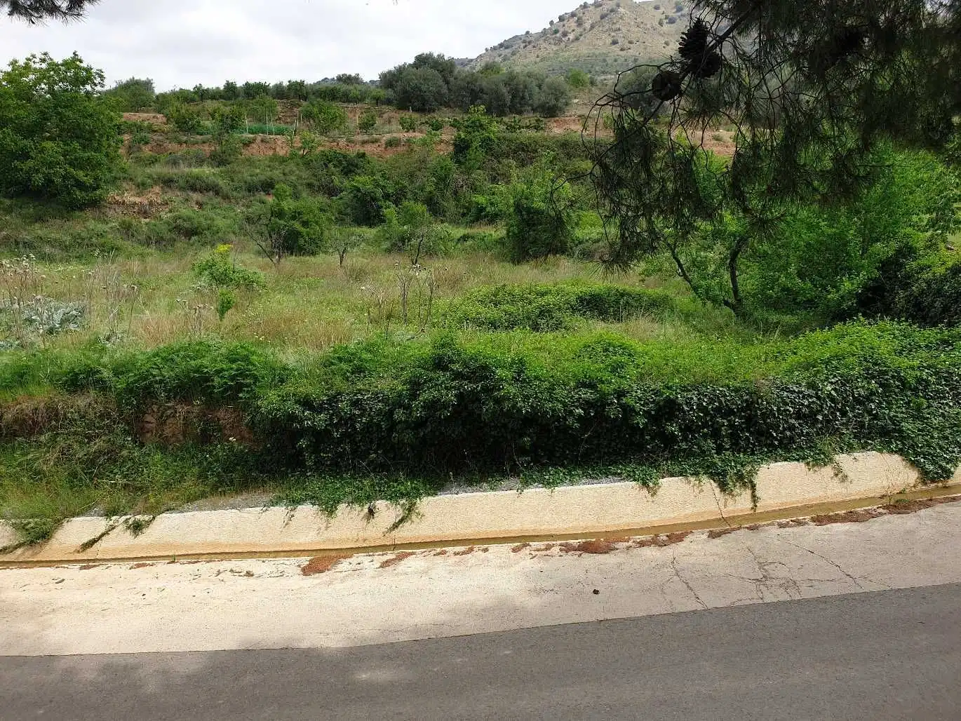 Houses for sale in Paracuellos de la Ribera