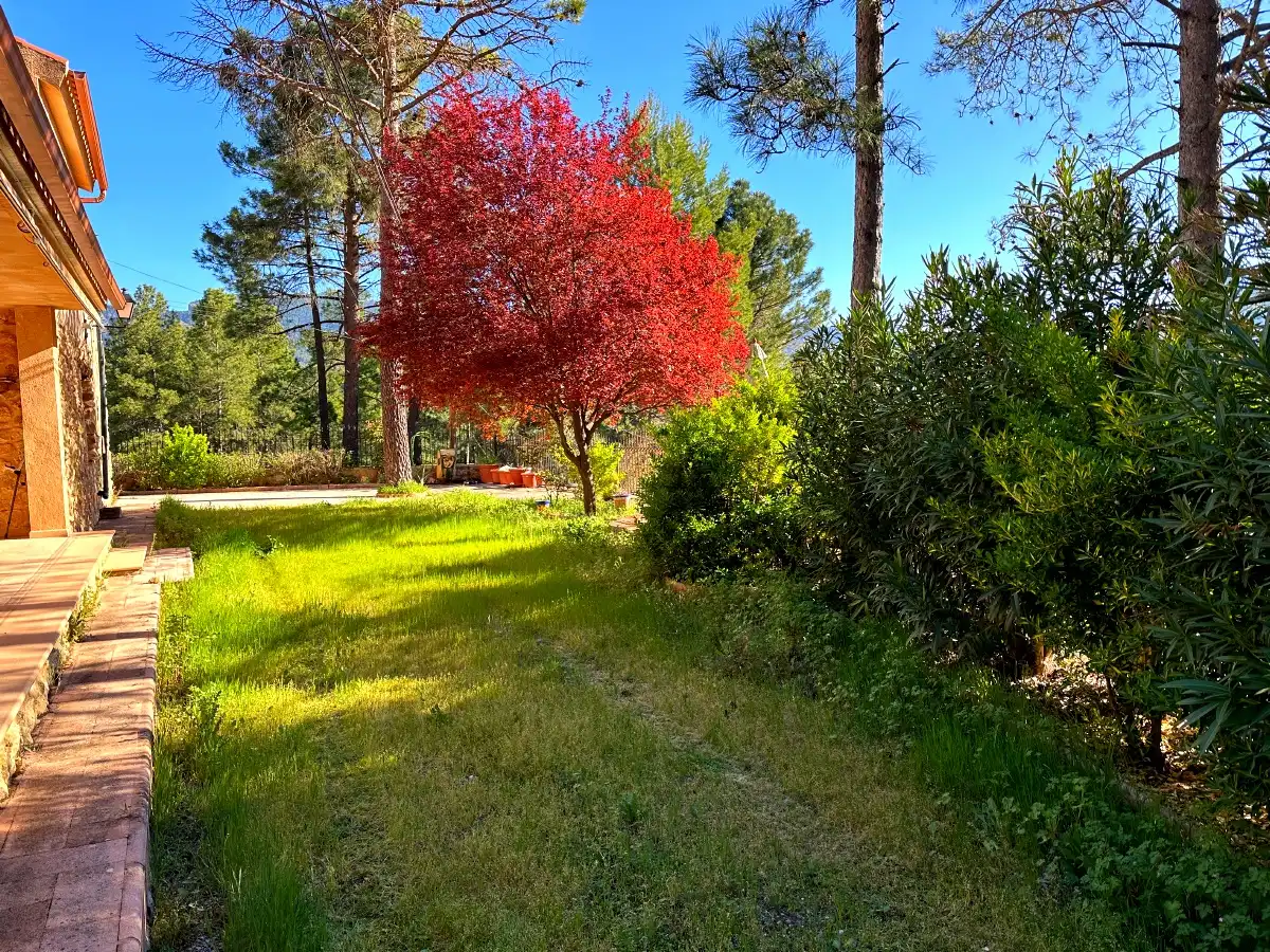 Casa rústica amb jardí en venda a Riópar, imagen 28