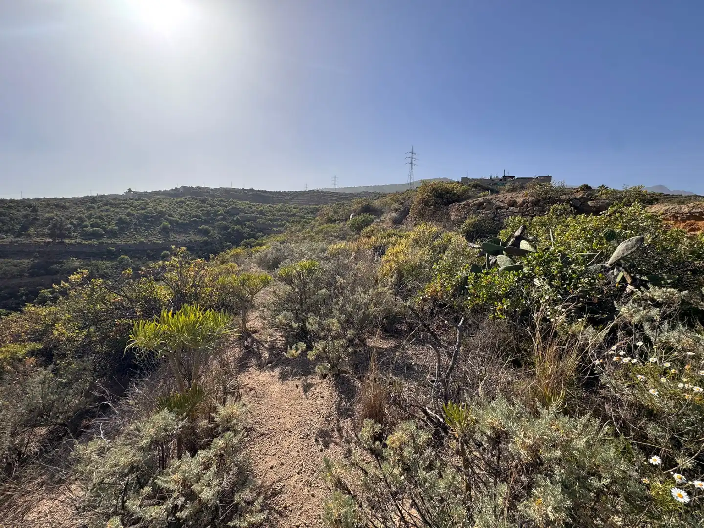 Rural land for sale in El Escobonal - Pájara, imagen 8