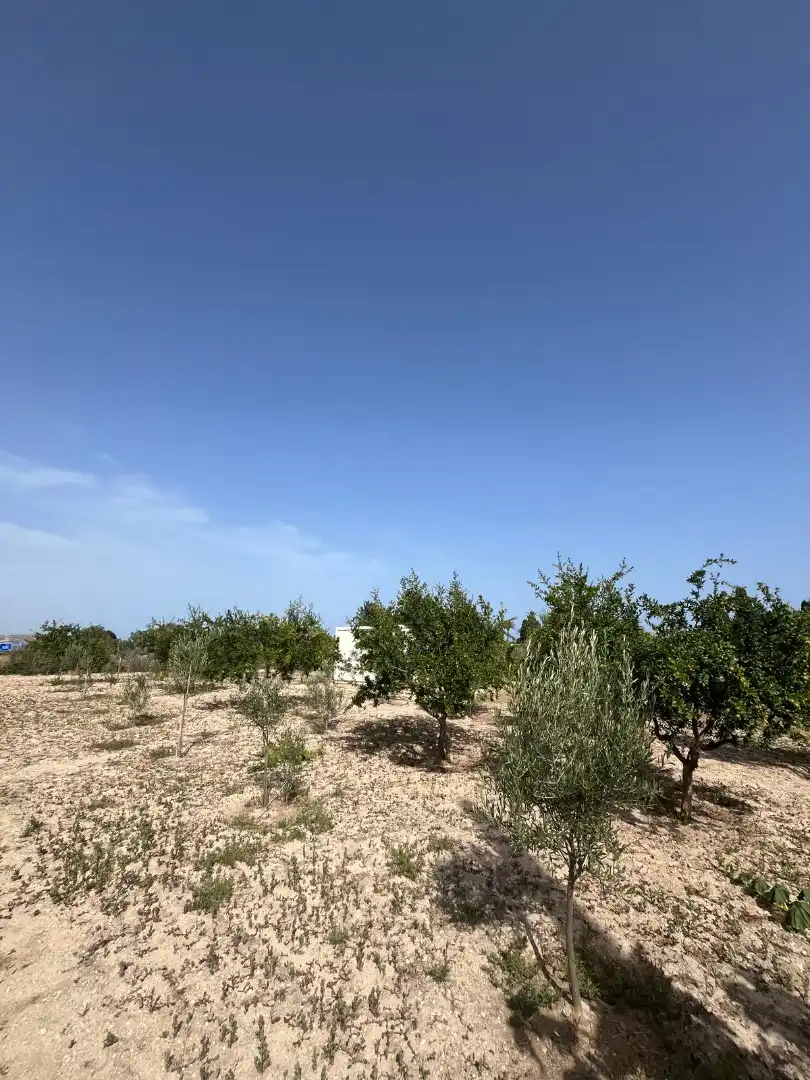 Rural land for sale in Avenida de la Cruz, imagen 4