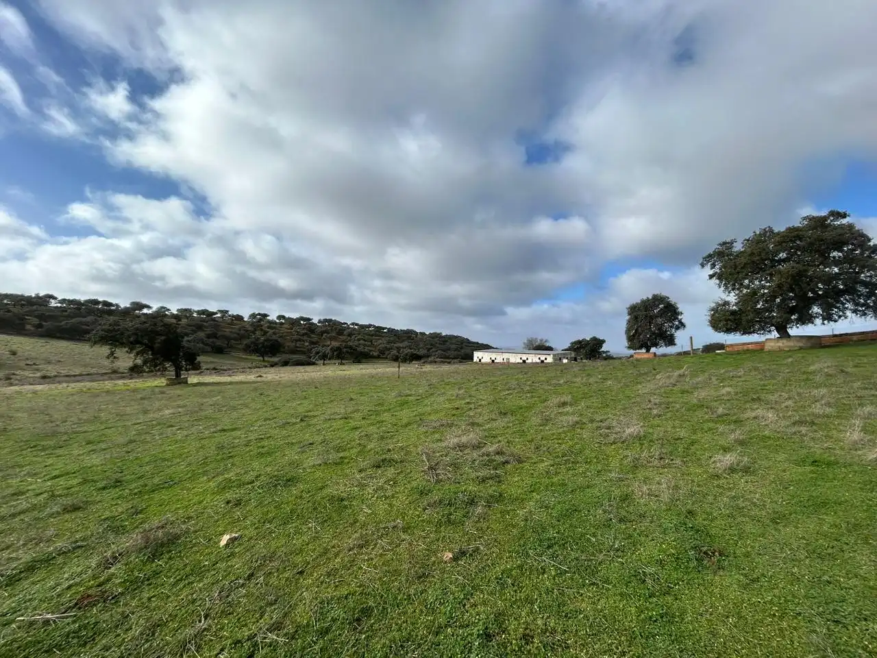 Lands and plots for sale in *, imagen 9