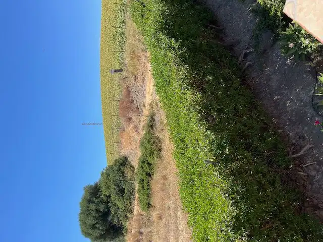 Apartament de lloguer en Vejer de la Frontera amb Terrassa