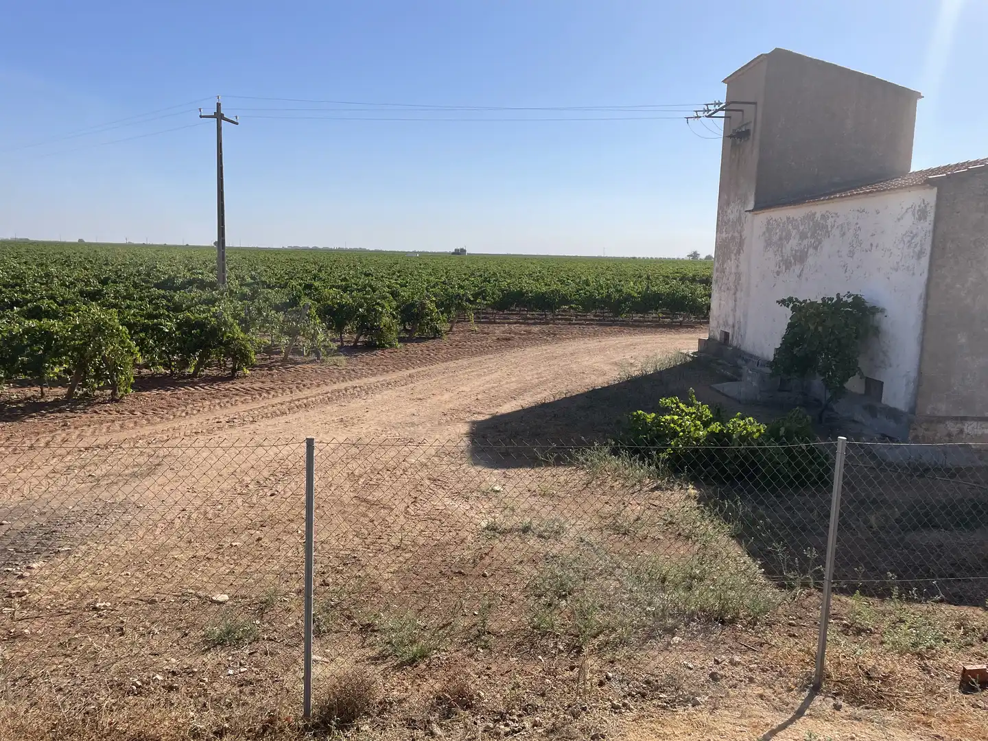 Rural land for sale in Argamasilla de Alba, imagen 16