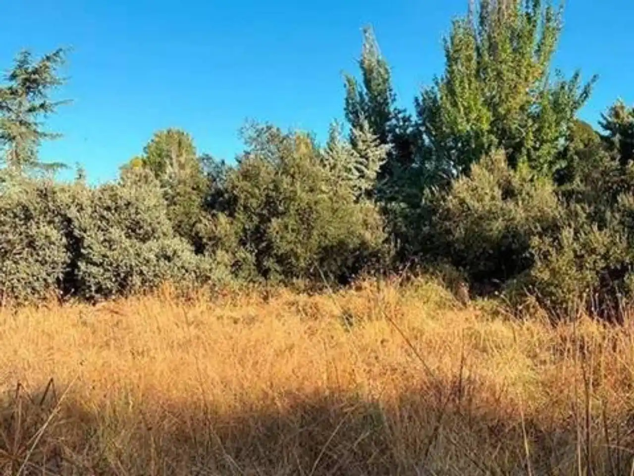 Terreno residencial en venta en Moncloa - Aravaca, imagen 6