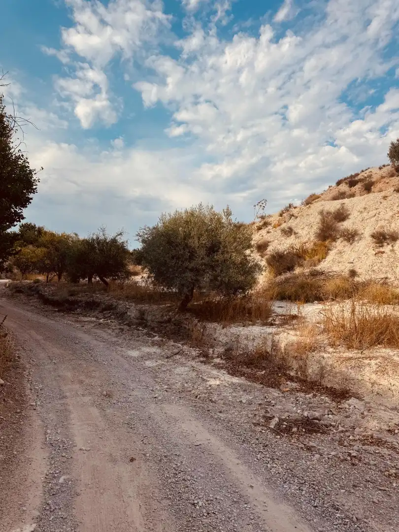 Terrain rustique à vendre à Campo de Murcia, imagen 3