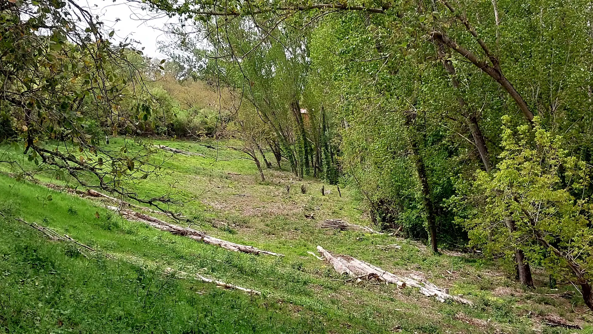Terreni e lotti in vendita a Galaroza, imagen 17