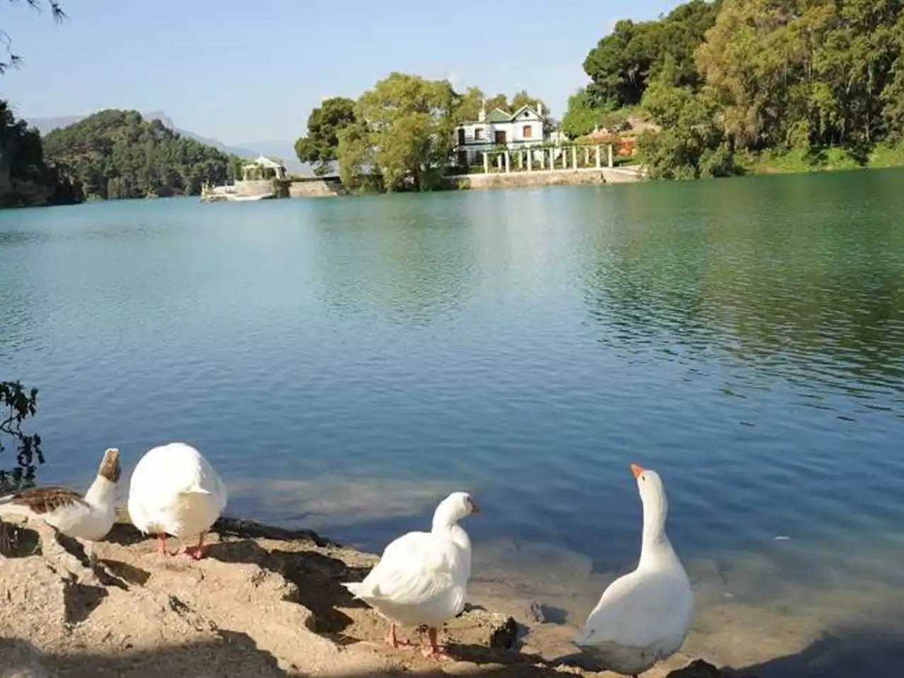 Exterior view of Residential for sale in Ardales
