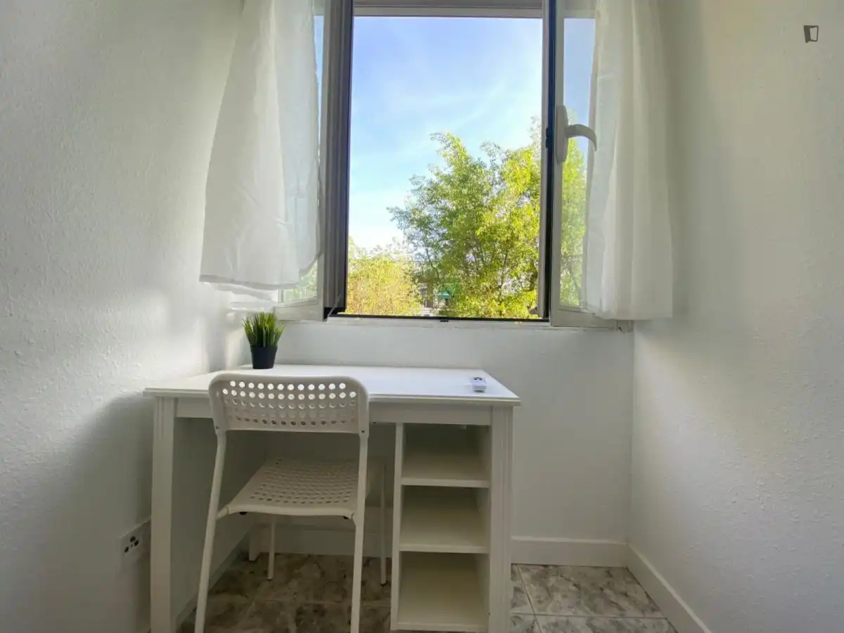 Room in Los Rosales