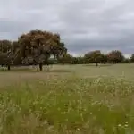 Rural land for sale in Topas, imagen 7