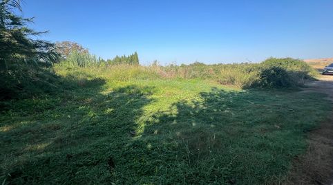 TERRENO EN VENTA DE REGADIO EN CLARAVALLS, immagine 3