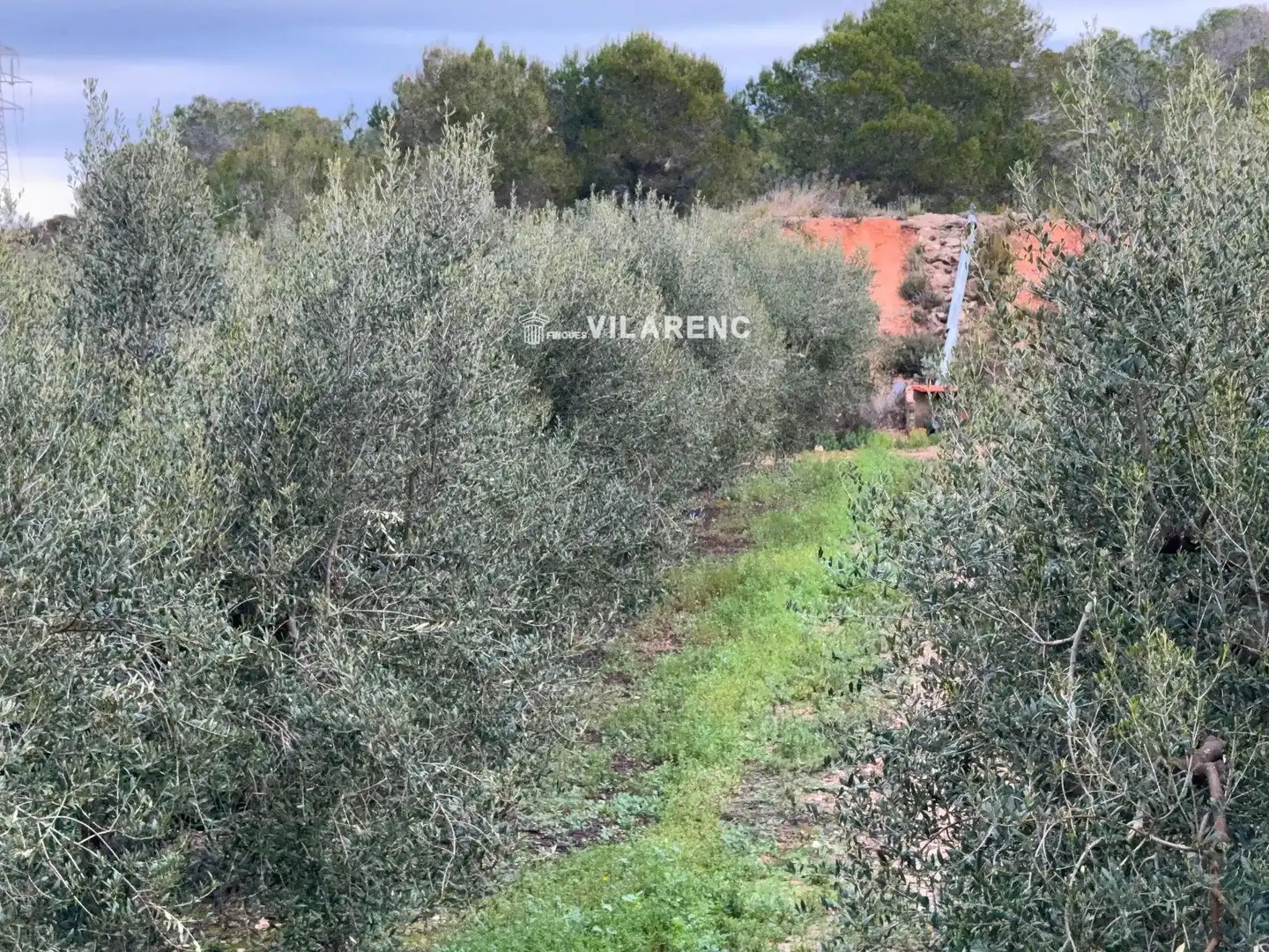 Terrain rustique à vendre à Vallmoll, imagen 16