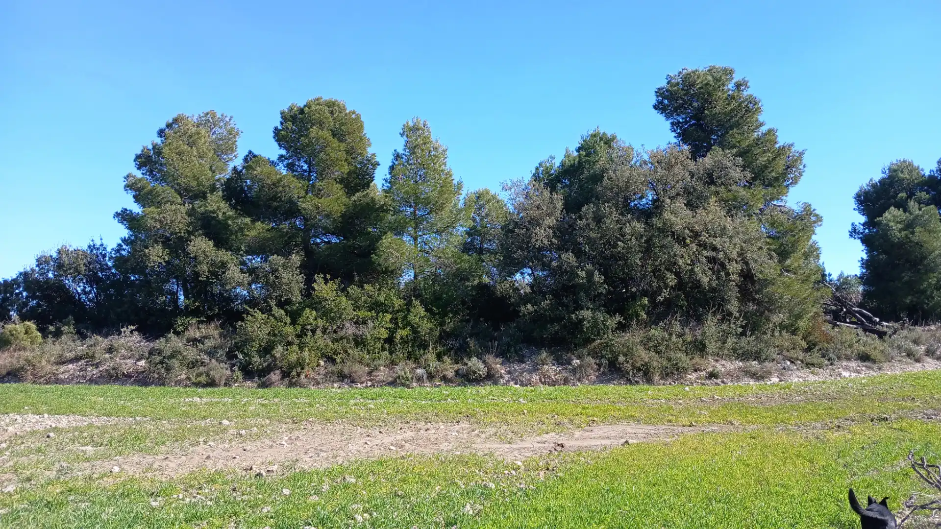 Terreni e lotti in vendita a Valderrobres, imagen 15