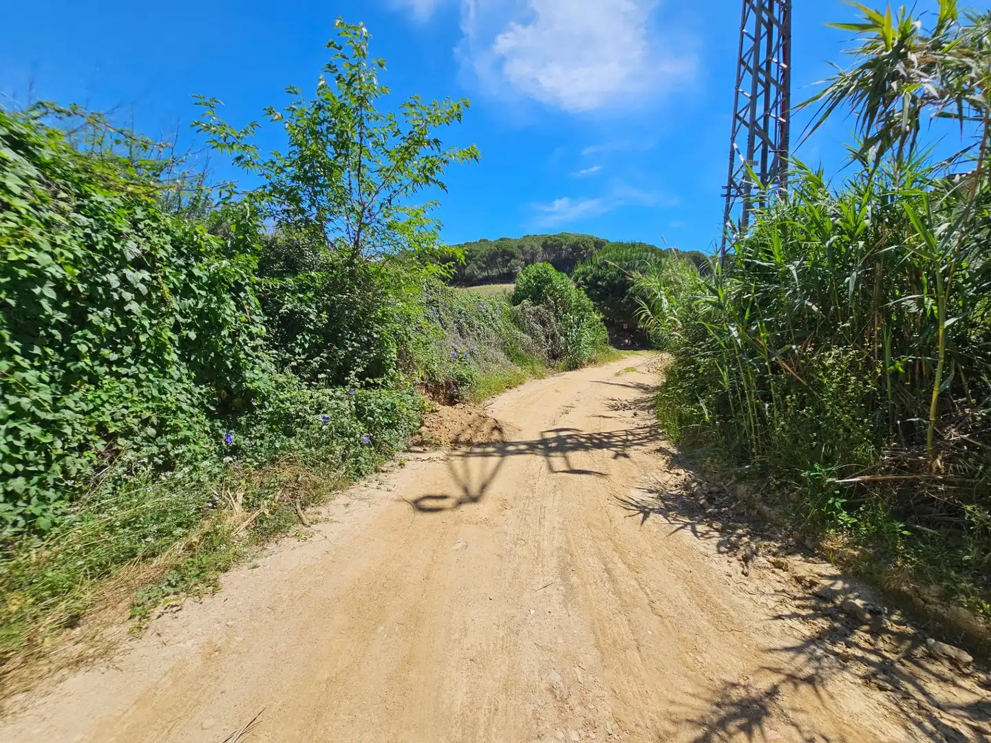 Vista exterior de Finca rústica en venta en Canet de Mar con Jardín privado