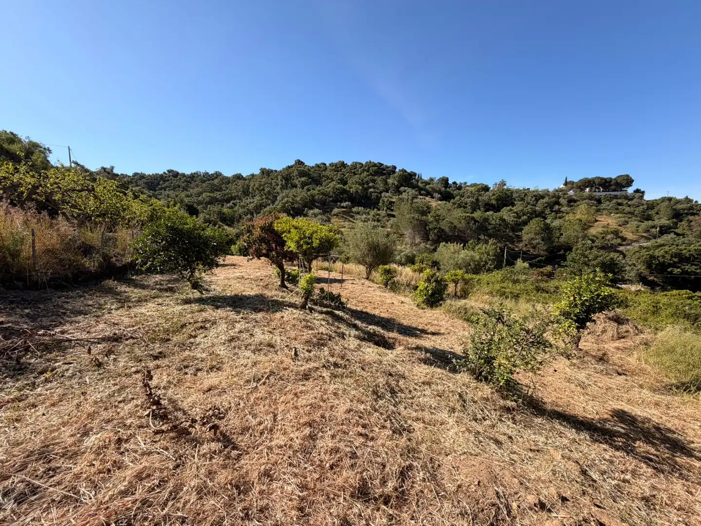 Terrains et parcelles à vendre à Ojén pueblo, imagen 10