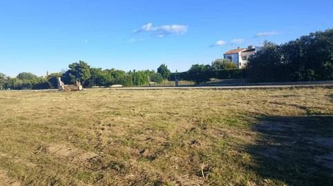 Photo 3 of Land for sale in Camino Azagador del Gorgs, Oliva Playa, Valencia