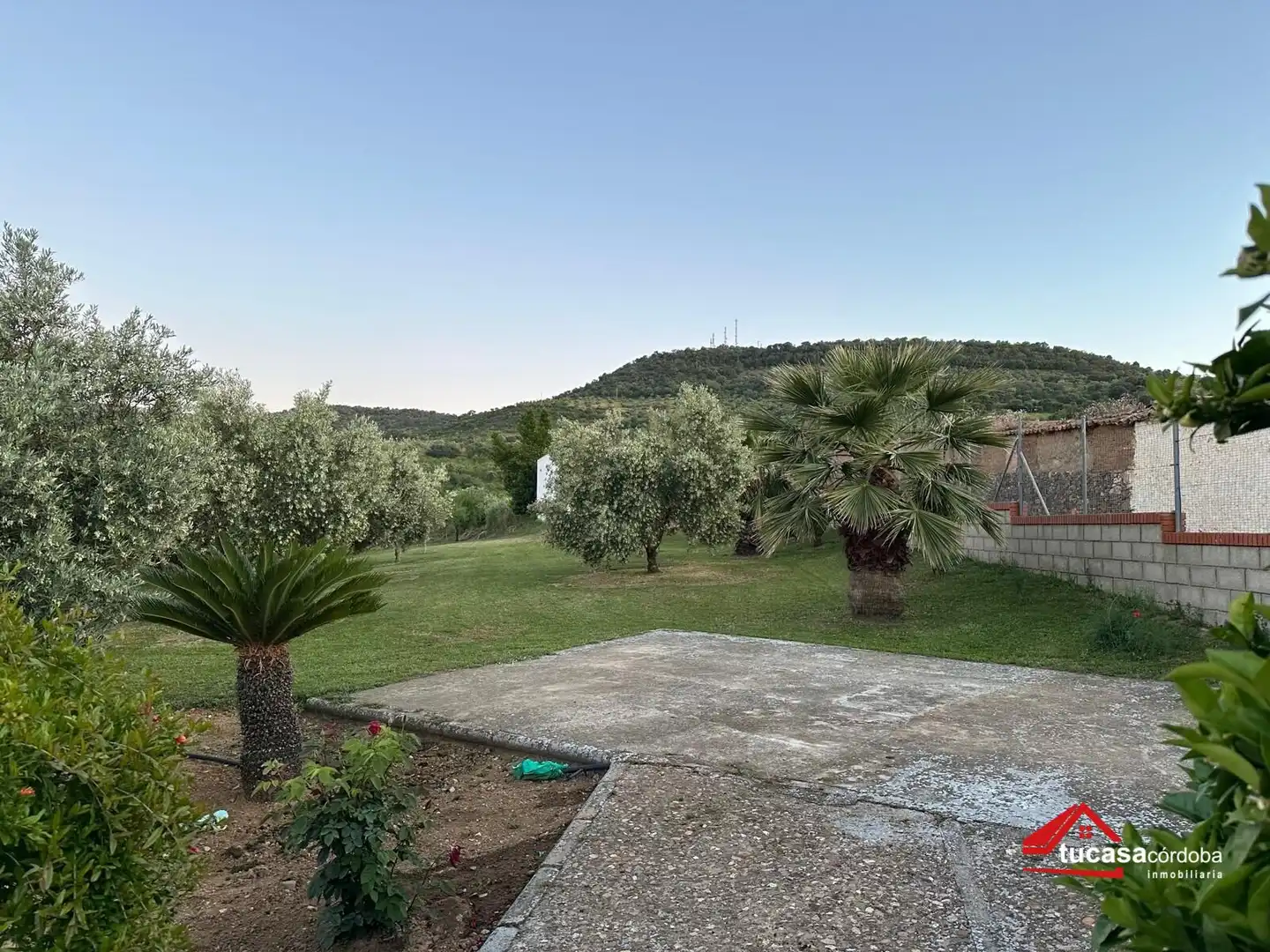 Terreno rustico in vendita a Villanueva del Rey, imagen 41