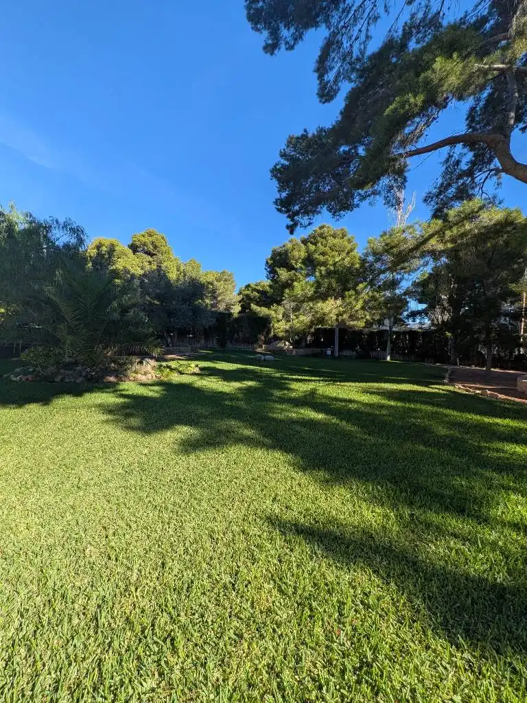 Garden of Houses for rent in Tibi  with Heating, Furnished and Internet